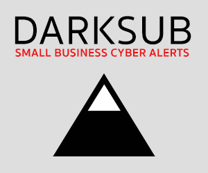 DarkSub. Small Business Data Intelligence.